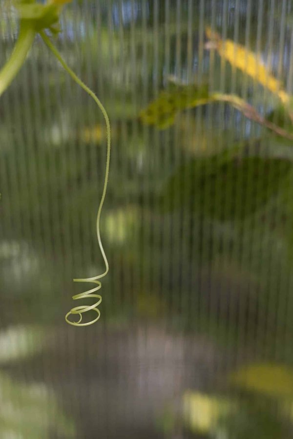 Peut-on adapter un système de divertissement pour enfants dans une Toyota Sienna ?